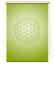 Preview: Extartiqe Duschrollo - Blume des Lebens green